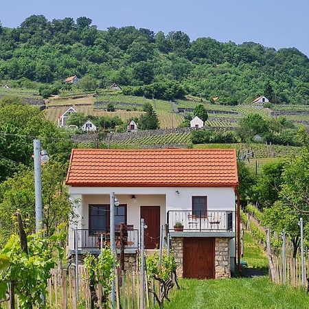 Jera Pince Es Vendeghaz Villa Somlovasarhely Exterior foto