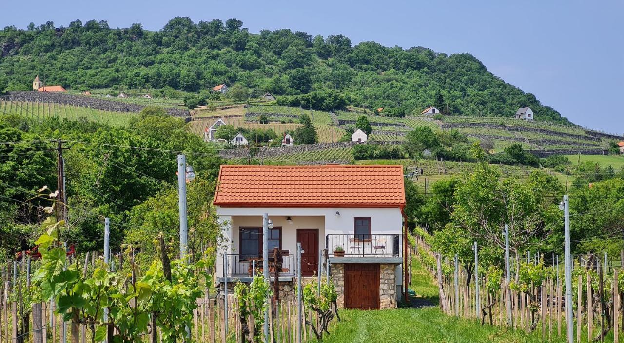 Jera Pince Es Vendeghaz Villa Somlovasarhely Exterior foto