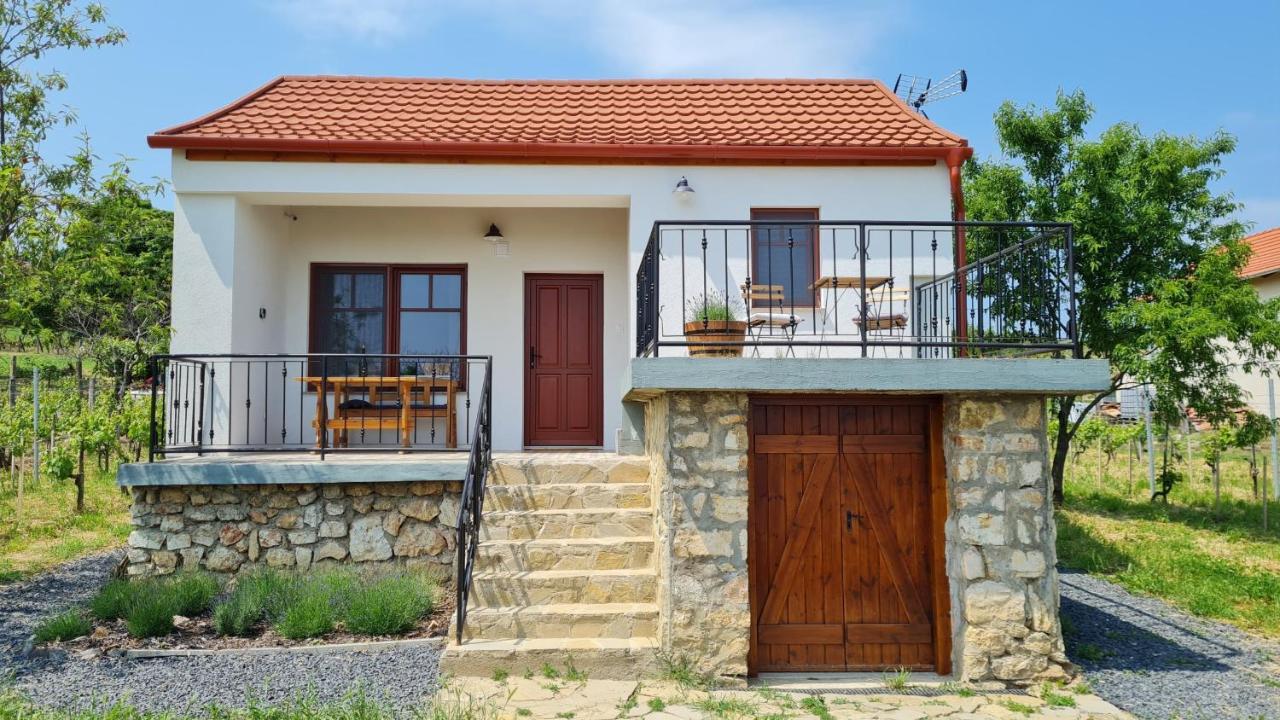 Jera Pince Es Vendeghaz Villa Somlovasarhely Exterior foto