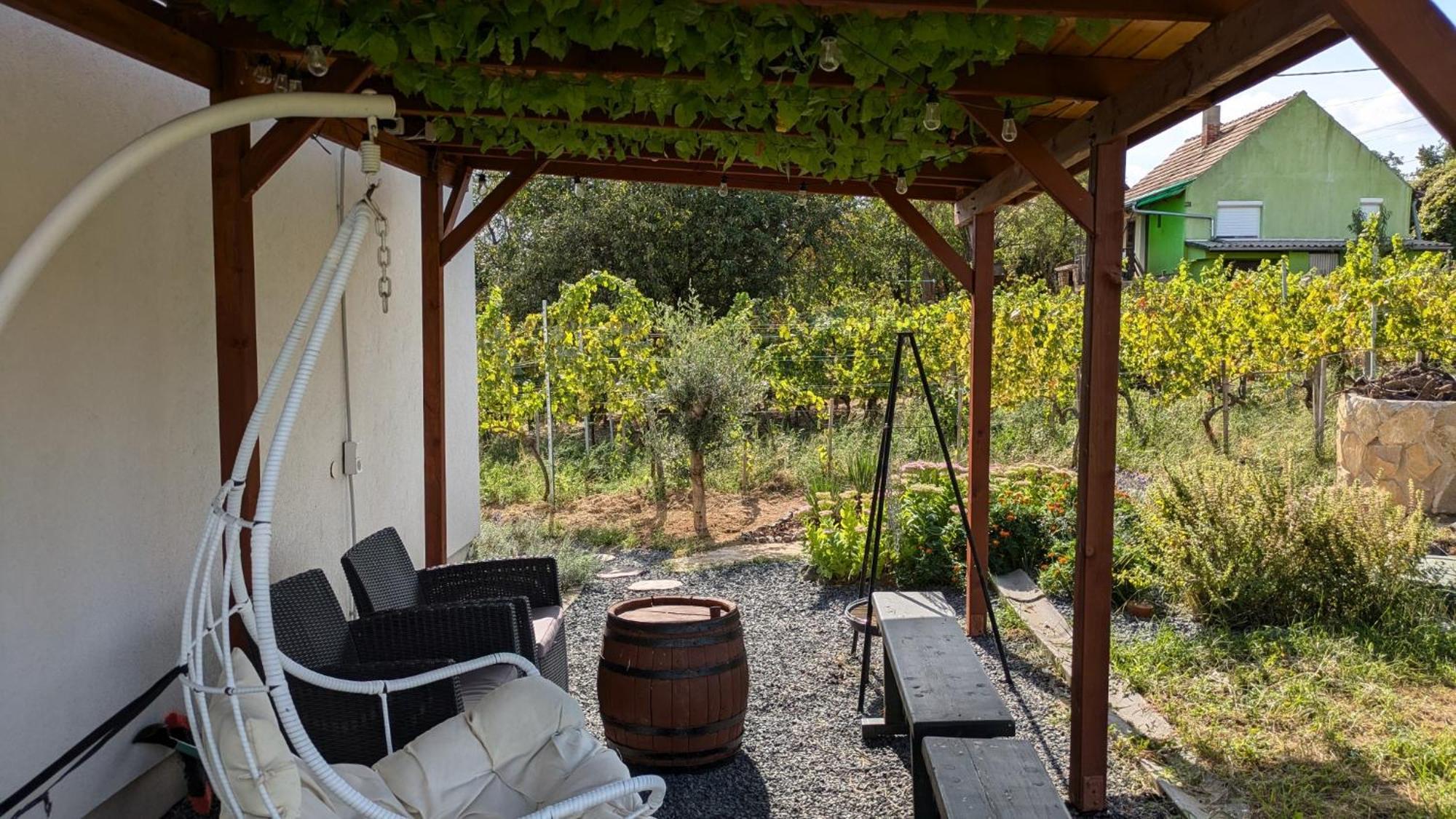 Jera Pince Es Vendeghaz Villa Somlovasarhely Exterior foto
