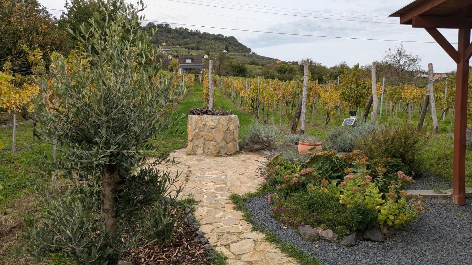 Jera Pince Es Vendeghaz Villa Somlovasarhely Exterior foto